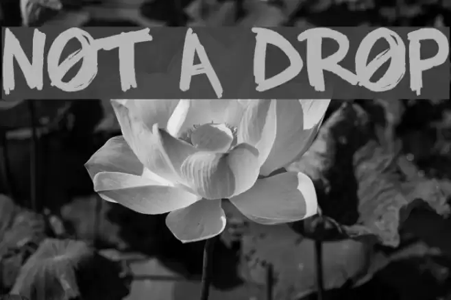 NOT A DROP Font examples
