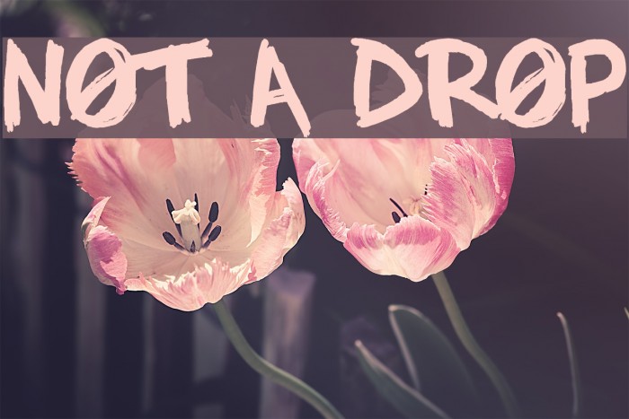 NOT A DROP Font examples
