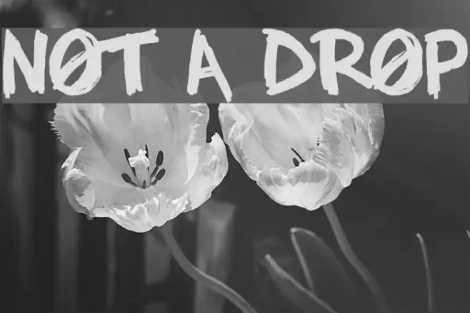 NOT A DROP Font examples