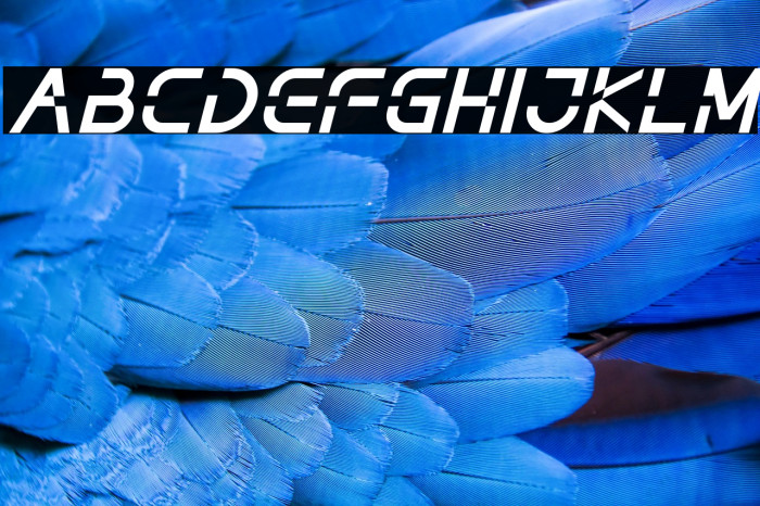 NOTHAN DEMO Italic Example 3