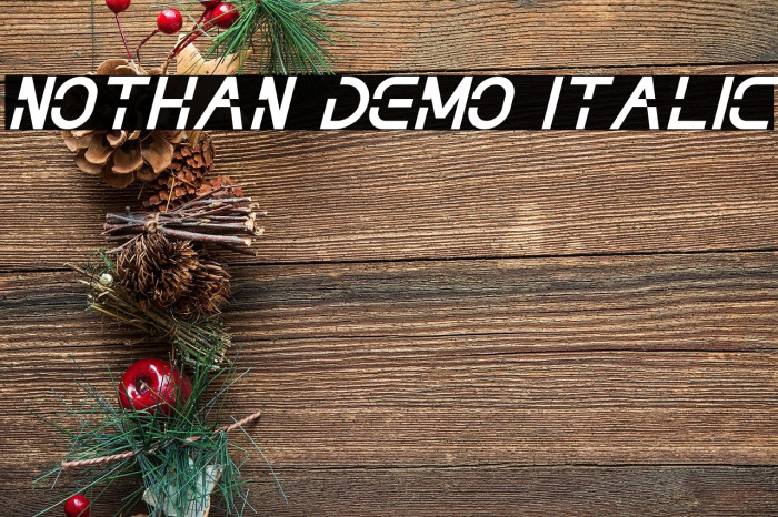 NOTHAN DEMO Italic Example 1