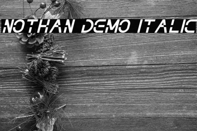 NOTHAN DEMO Italic Font examples