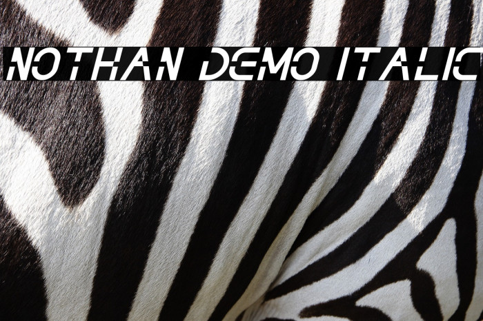 NOTHAN DEMO Italic Example 2