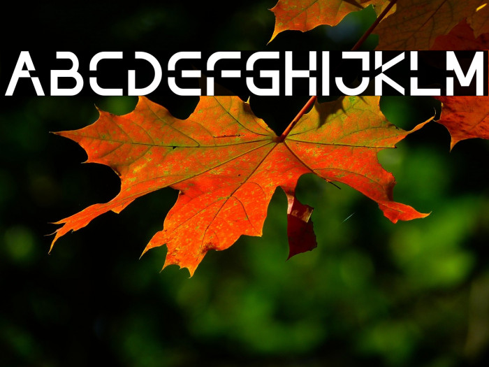 NOTHAN DEMO Example 1