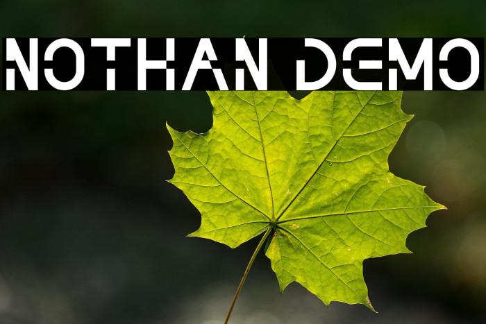 NOTHAN DEMO Example 1