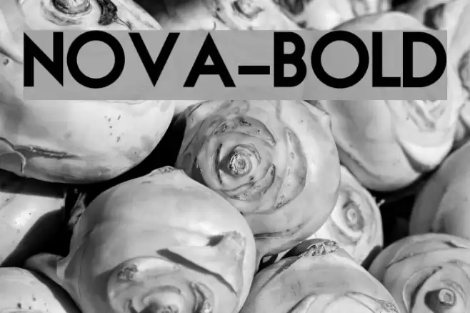 NOVA-BOLD Font examples