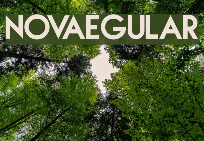 NOVAegular Font examples