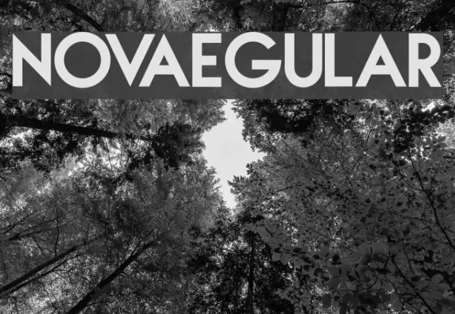 NOVAegular Example 3