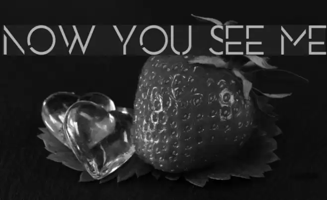 NOW YOU SEE ME Шрифта examples