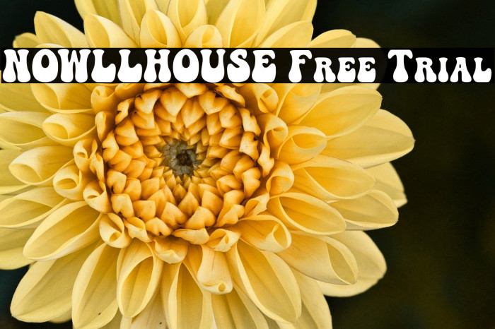 NOWLLHOUSE Free Trial Example 1