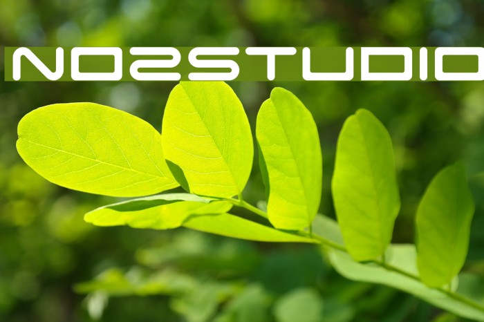 NOZSTUDIO Шрифта examples