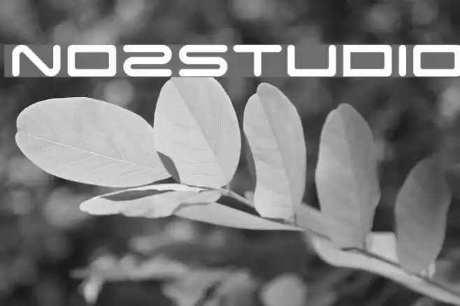 NOZSTUDIO Font examples