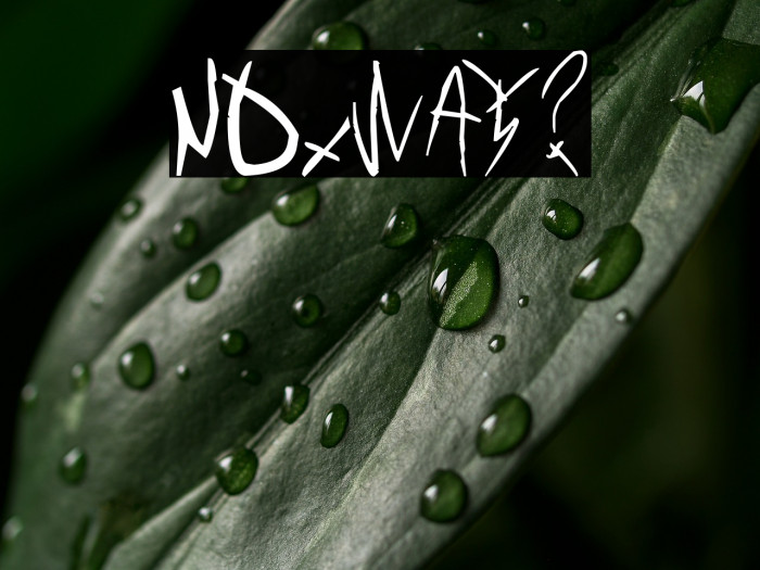 NOxWAY? Example 2
