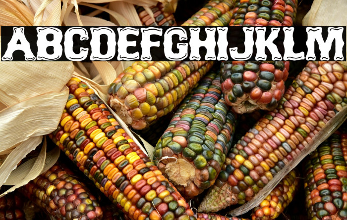 No Club Lone Wolf Example 1