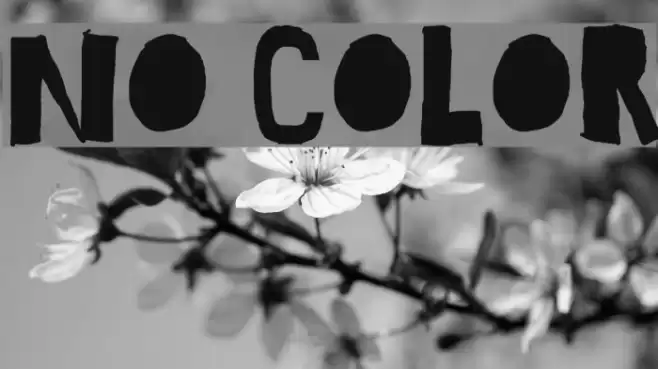 No Color Font examples