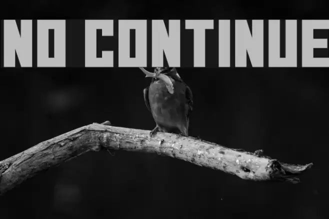 No Continue Font examples