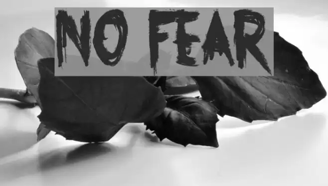 No Fear Font examples