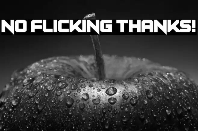 No Flicking Thanks! Font examples