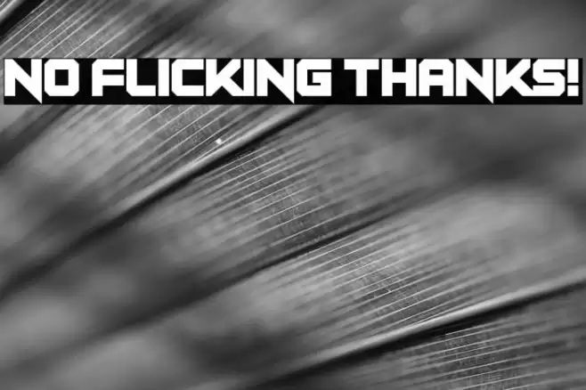 No Flicking Thanks! Font examples