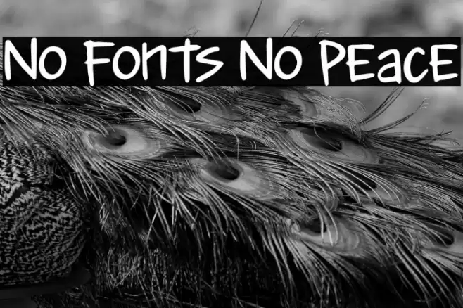 No Fonts No Peace 字体 examples