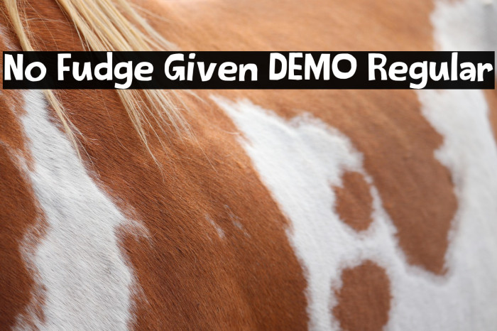 No Fudge Given DEMO Regular Example 1