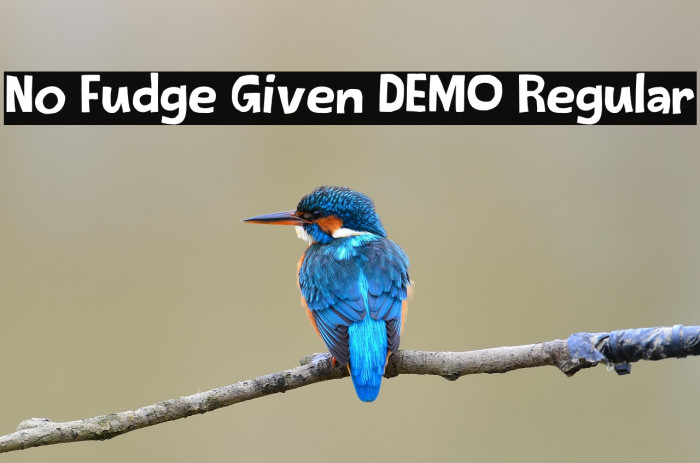 No Fudge Given DEMO Regular Example 2