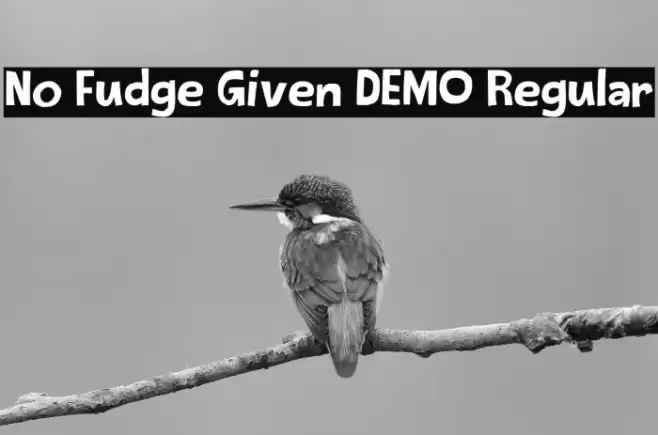 No Fudge Given DEMO Regular Font examples