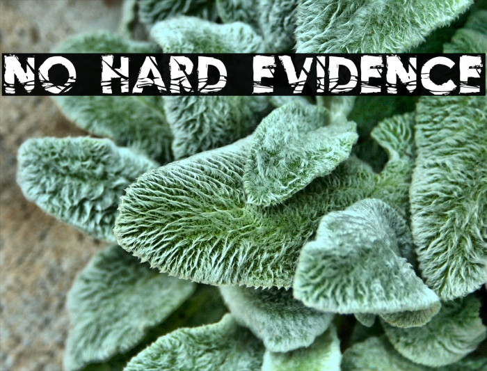 no-hard-evidence-font-ffonts