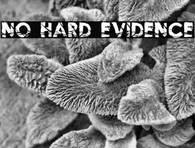 No Hard Evidence Example 2