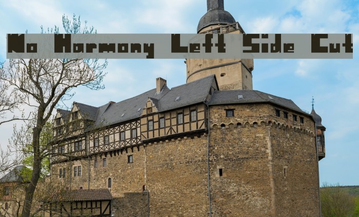 No Harmony Left Side Cut Font examples