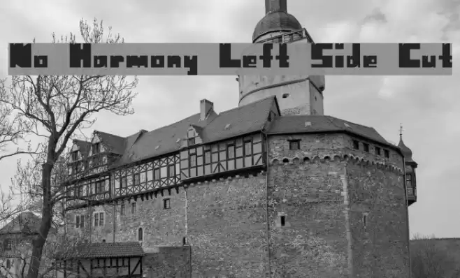 No Harmony Left Side Cut Font examples