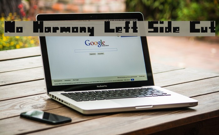 No Harmony Left Side Cut Font examples