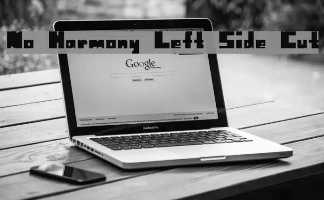 No Harmony Left Side Cut Font examples