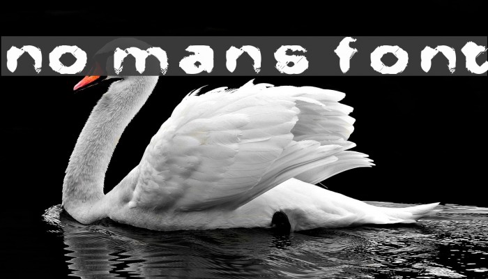 No Man's Font Font examples