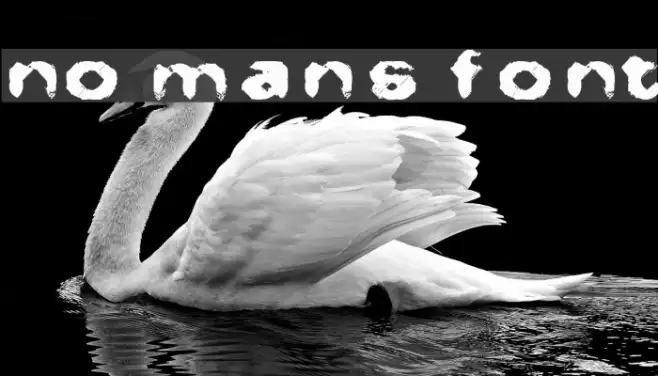 No Man's Font Example 1