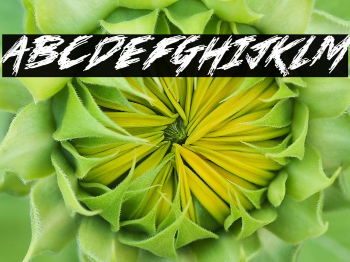 No Mercy Font Personal Use Only Example 1