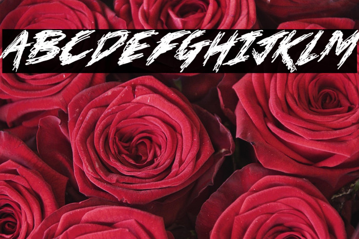 No Mercy Font Personal Use Only Example 3