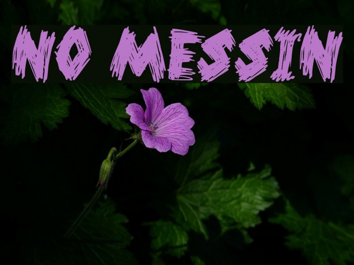 No Messin Font examples