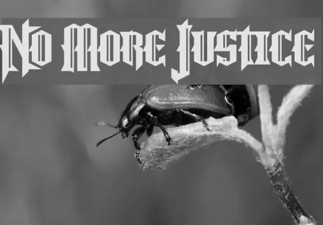 No More Justice Font examples