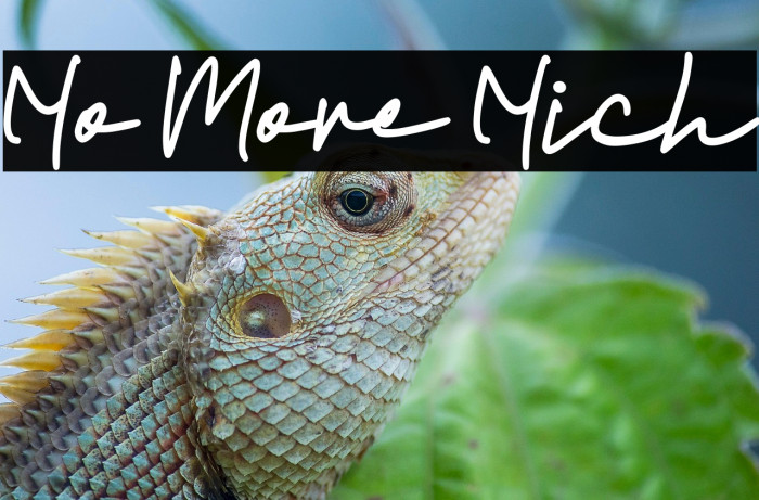 No More Nich Example 2