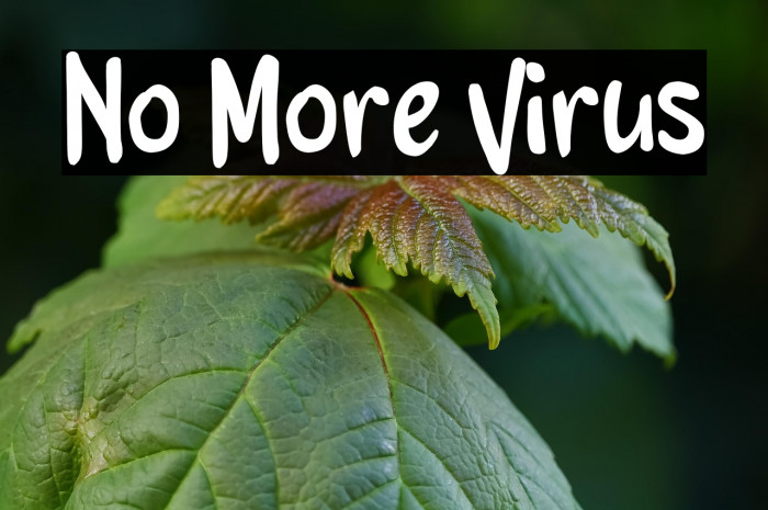 No More Virus Example 2