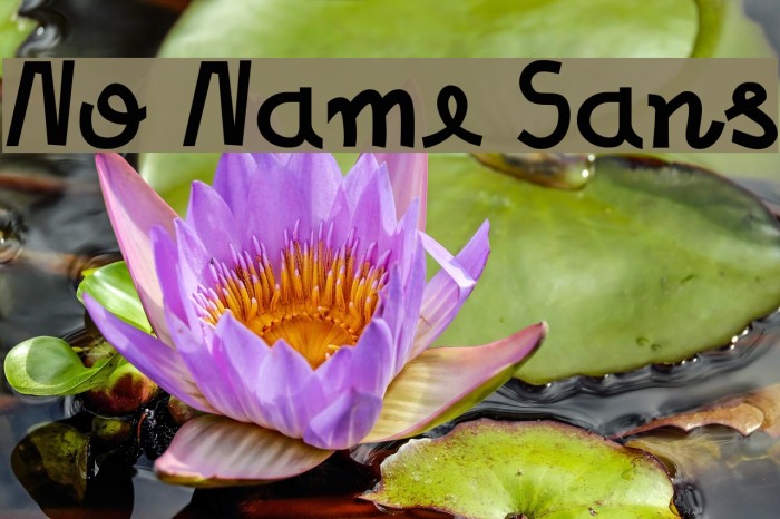 No Name Sans Example 3