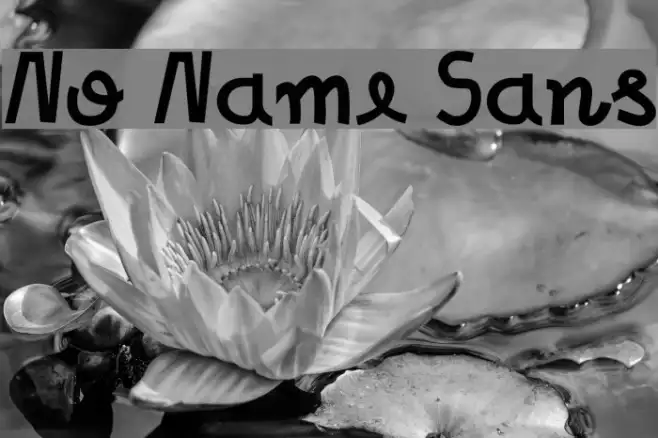 No Name Sans Example 3