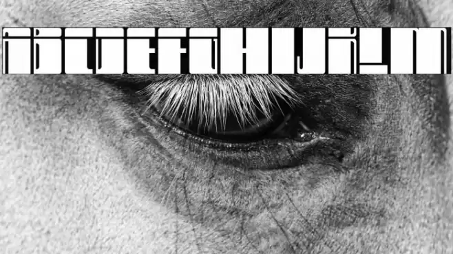 No Name Font examples