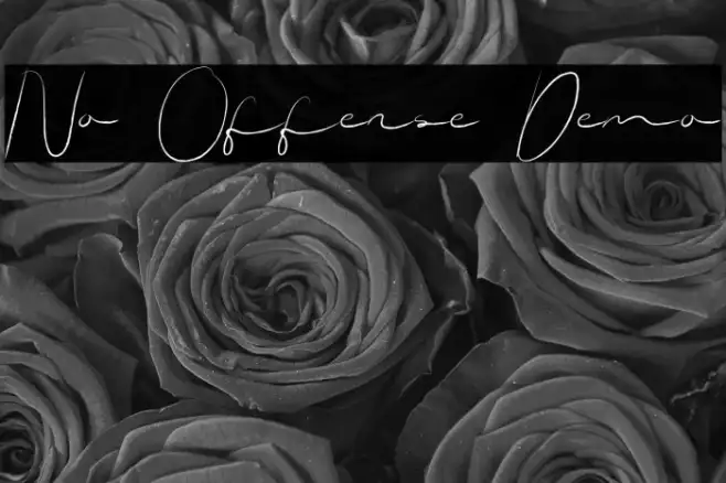 No Offense Demo Example 1