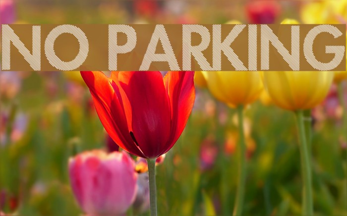 No Parking Font examples