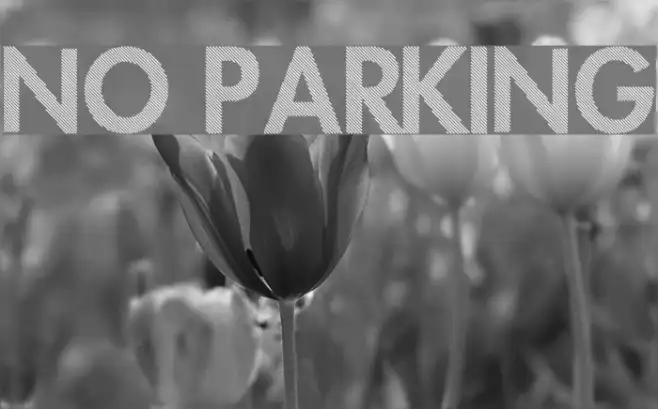 No Parking Example 1