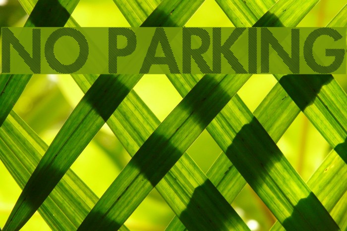 No Parking Font examples
