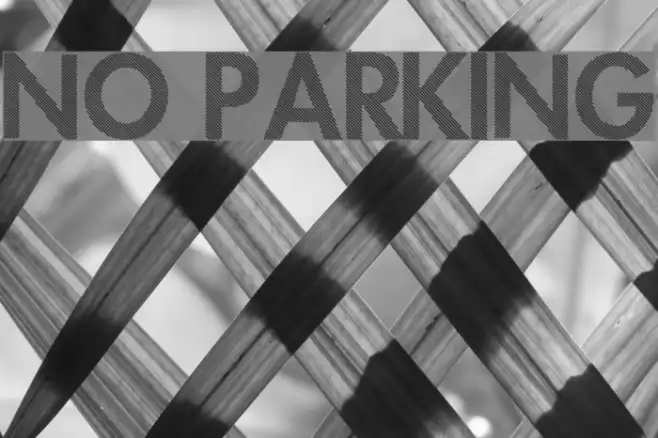 No Parking Example 2