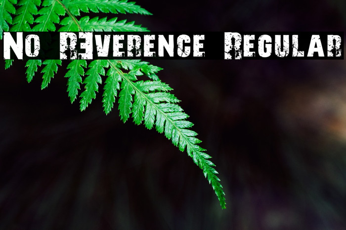 No R3verence Regular Font examples